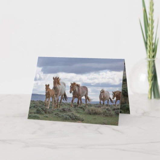 The Wild Roan Family Runs Greeting Card Einladung (Vorderseite)