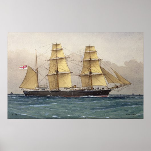 The Wild Swan, 1906 Poster (Vorne)