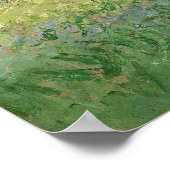 The Willows Claude Monet 1880 Poster (Ecke)