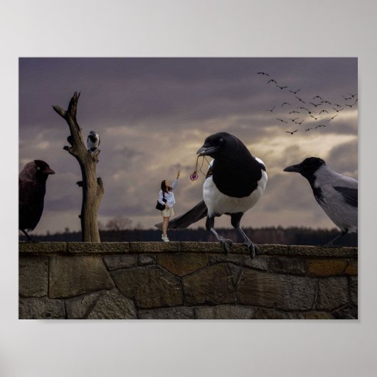 The woman and the birds poster (Vorne)