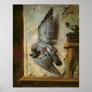The Woodpigeon, c.1857 Poster