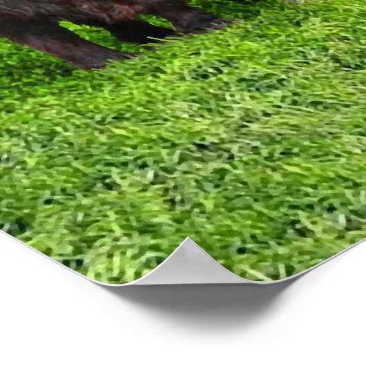 "The Woolies" Poster (Ecke)