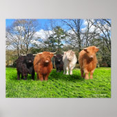 "The Woolies" Poster (Vorne)