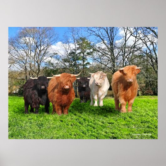 "The Woolies" Poster (Vorne)