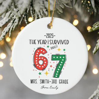 The Year I Barely Survived 67 Funny Teacher Gift Keramik Ornament