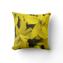 The yellow of laburnum flowers