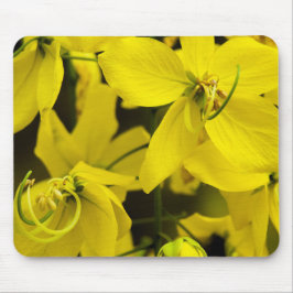 The yellow of laburnum flowers mousepad