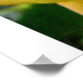 The Yellow Rose Poster (Ecke)