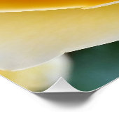 The Yellow Rose Poster (Ecke)