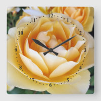 The Yellow Rose