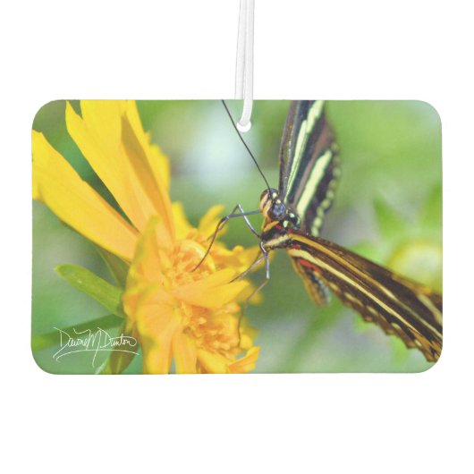 The Zebra Longwing Autolufterfrischer (Rückseite)