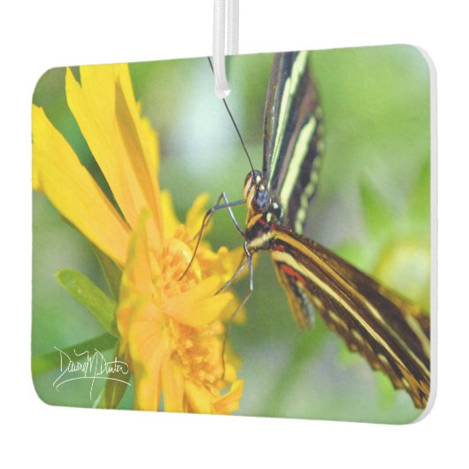 The Zebra Longwing Autolufterfrischer (Links)