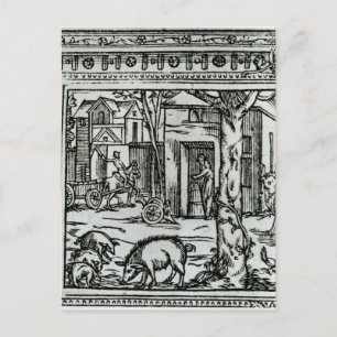 Theater der Landwirtschaft und Mesnage des Champs' Postkarte