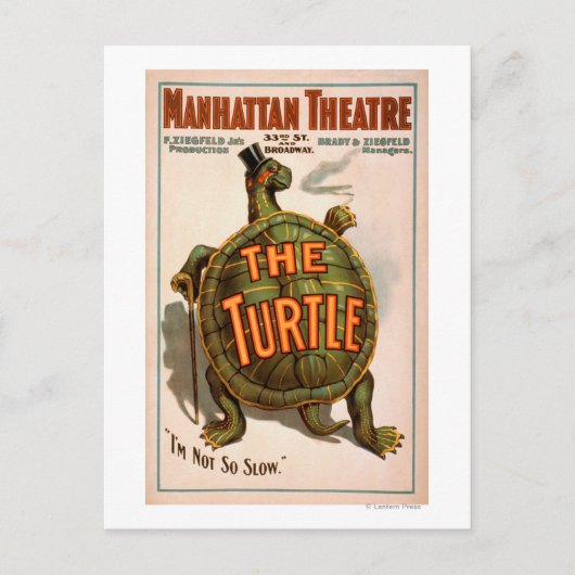 Theater Manhattan New York Broadway The Turtle Postkarte (Vorderseite)