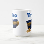 Theatername mit Katze in einer Schachtel, Kaffee-T Kaffeetasse (Mittel)