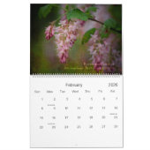 Theatrum Botanicum 2010 Kalender (Feb 2026)