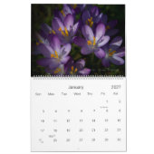 Theatrum Botanicum 2011 Kalender (Jan 2027)