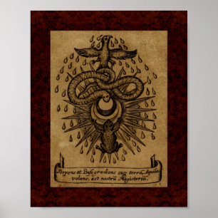 Theatrum Chemicum: Alchemy Illustration 1652 Poster