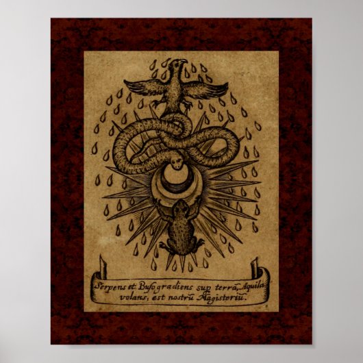 Theatrum Chemicum: Alchemy Illustration 1652 Poster (Vorne)