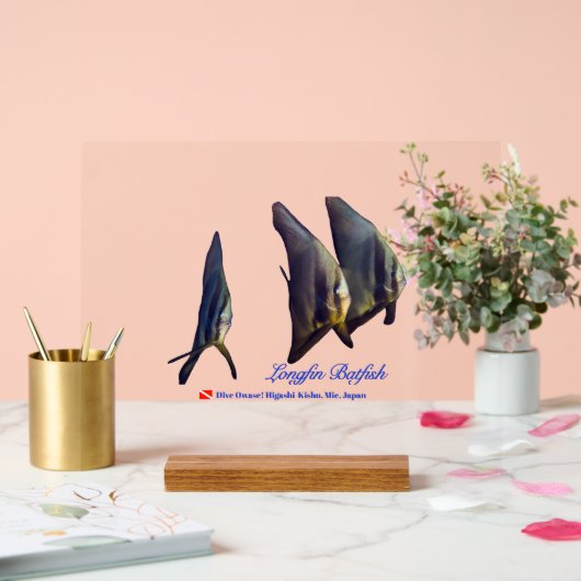 Thee Cute Longfin Batfish Beverage Coaster Acrylschild (Hochzeit)