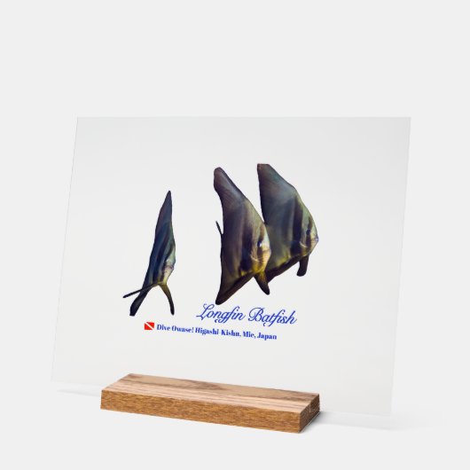 Thee Cute Longfin Batfish Beverage Coaster Acrylschild (Winkel)