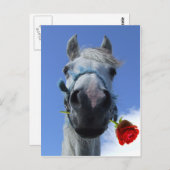 Thema "Liebe von Pferden und Rose" Postkarte (Vorne/Hinten)
