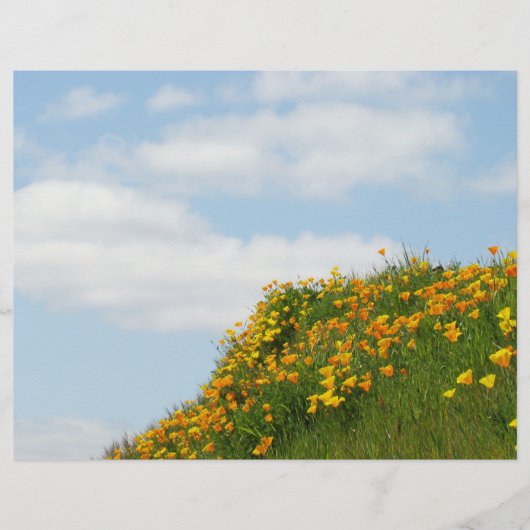 Theme Paper Flyers Blue Sky White Clouds Poppids Flyer (Vorne)