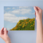 Theme Paper Flyers Blue Sky White Clouds Poppids Flyer (Hand)