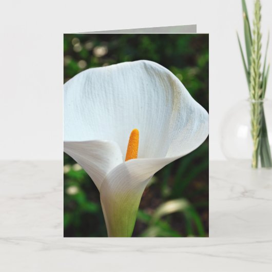 Themed Karte (Vorderseite)