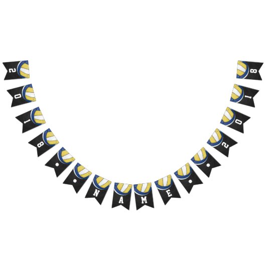 Themed Party-Flagge des Volleyball-04of12 Wimpelkette (Alle)