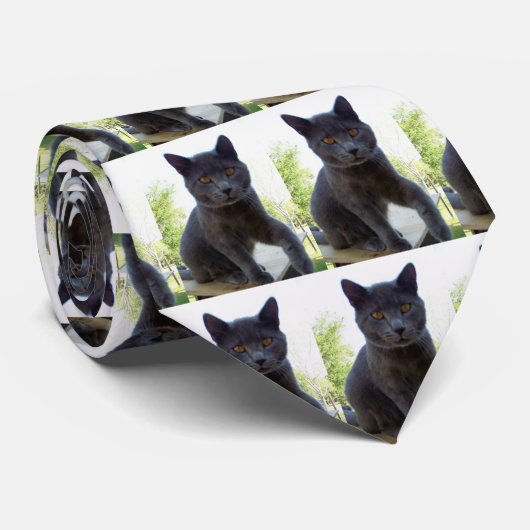 Themenorientierte Halsbindung der Katze Krawatte (Gerollt)