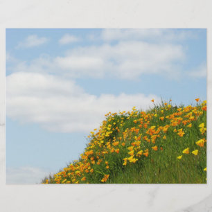 Themenpapier Flugblätter Blauer Himmel Weiße Wolke Flyer