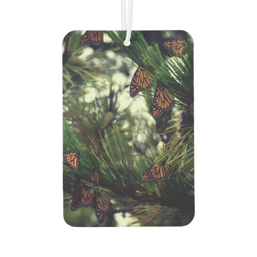 THEMONARCHS MONARCHS 3 AUTOLUFTERFRISCHER (Rückseite)