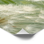 Then Sings My Soul Dandelions and Daisies Poster (Ecke)