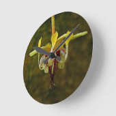 Theobroma Cacao Tree Blume Runde Wanduhr (Winkel)