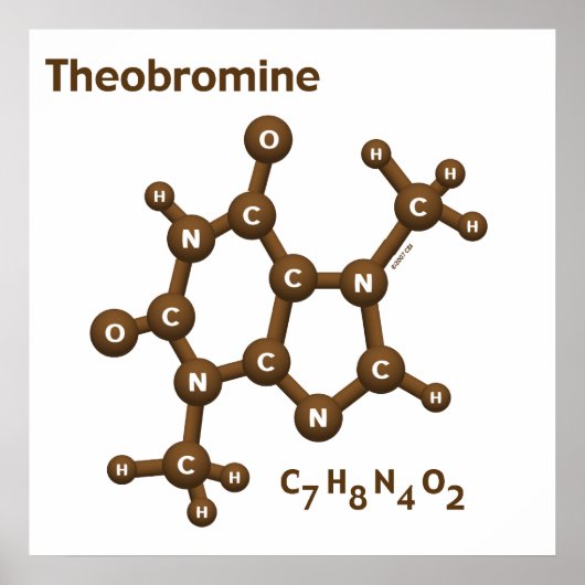 Theobromin Poster (Vorne)