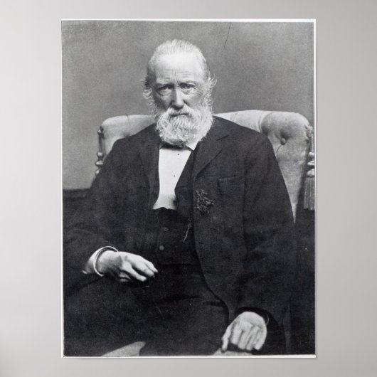 Theodor Storm, c.1886 Poster (Vorne)