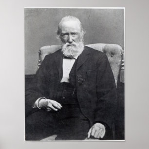 Theodor Sturm, c.1886 Poster