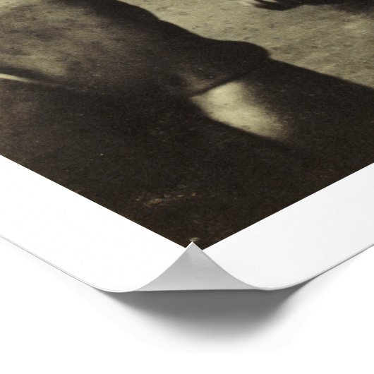 Theodore Roosevelt [1903] Poster (Ecke)