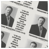 Theodore Roosevelt bin ich so stark wie ein Stoff (Nahaufnahme)