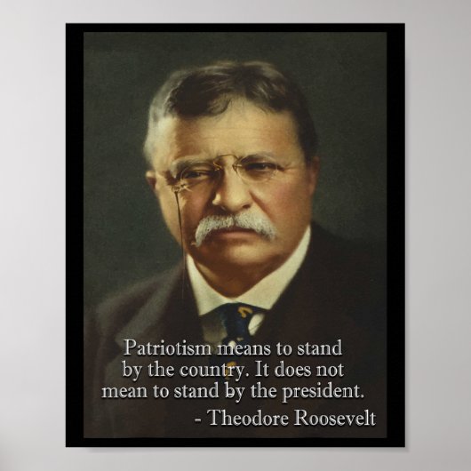 Theodore Roosevelt Meme Anti Trump T-Shirt Poster (Vorne)