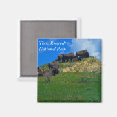 Theodore Roosevelt National Park ND Magnet (Vorderseite/Rückseite)