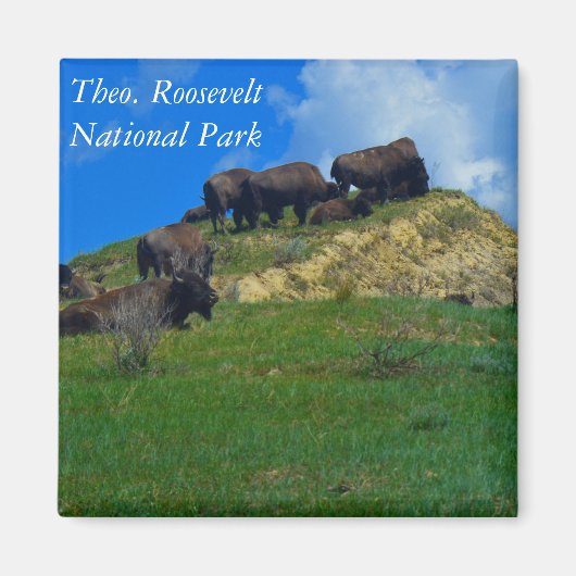 Theodore Roosevelt National Park ND Magnet (Vorne)