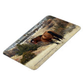 Theodore Roosevelt NP Souvenir Magnet (Linke Seite)