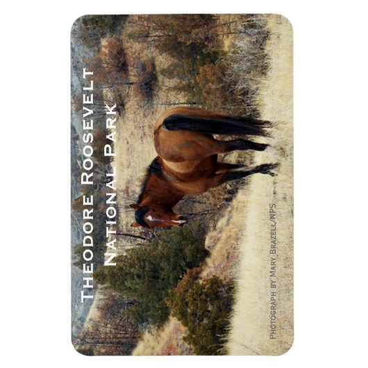 Theodore Roosevelt NP Souvenir Magnet (Vertikal)