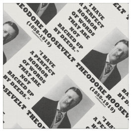 Theodore Roosevelt Perfect Horror Words Deeds Stoff