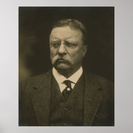 Theodore Roosevelt Portrait von den Pach Brothers Poster (Vorne)