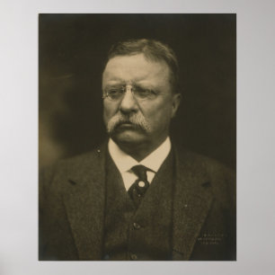 Theodore Roosevelt-Porträt durch die Pach Brüder Poster