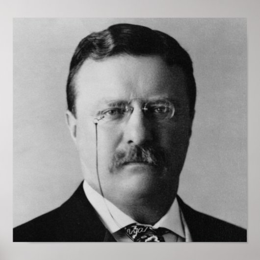 Theodore Roosevelt Poster (Vorne)