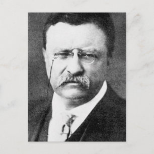 Theodore Roosevelt Postkarte